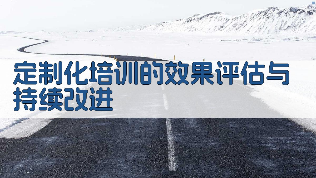 定制化培训方案职业技能提升计划解析