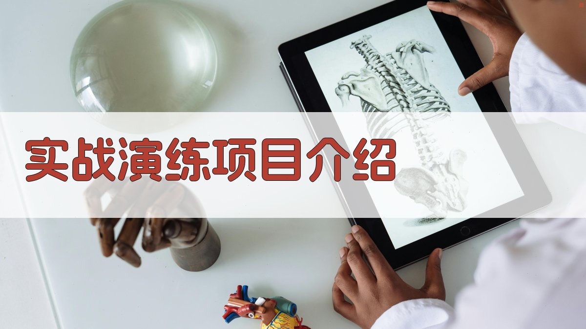 实战演练项目介绍 图2