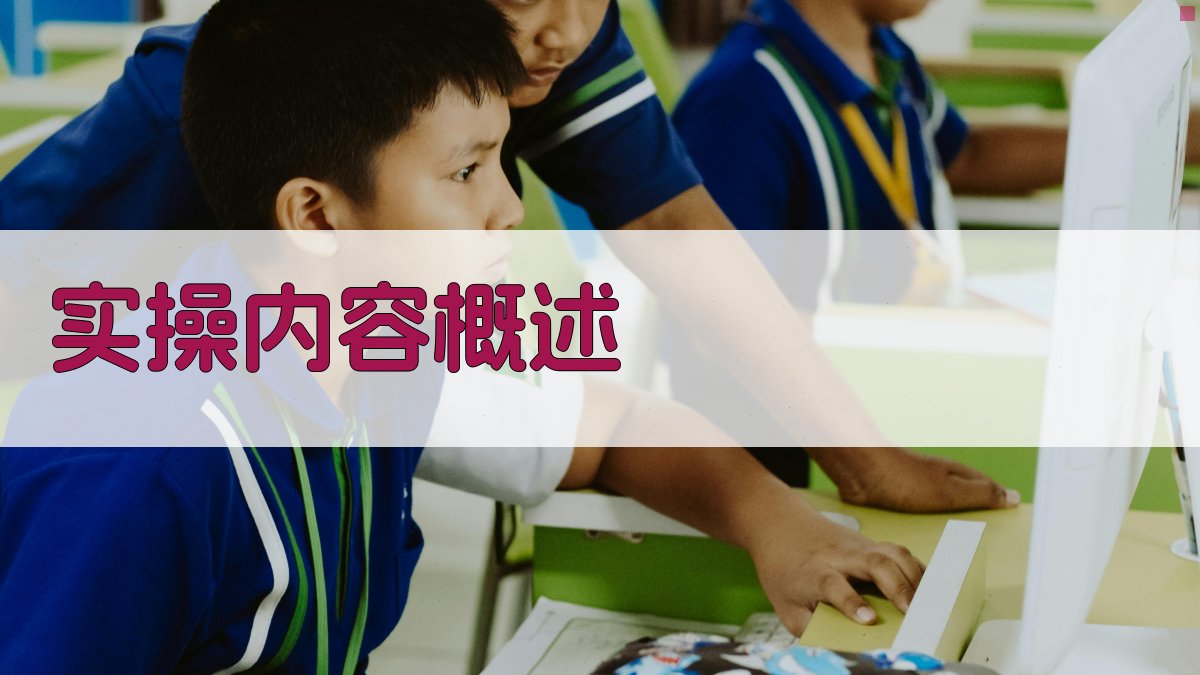实操内容概述 图2