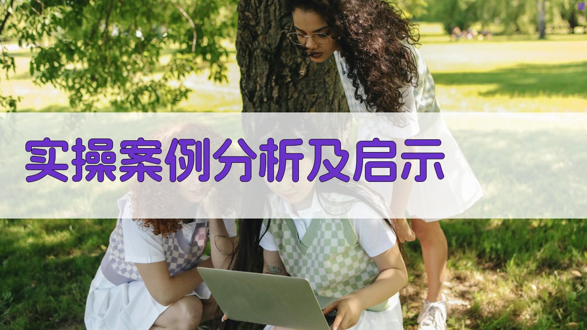 实操案例分析及启示 图2