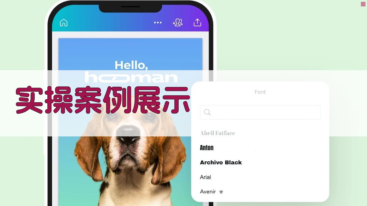 实操案例展示 图2