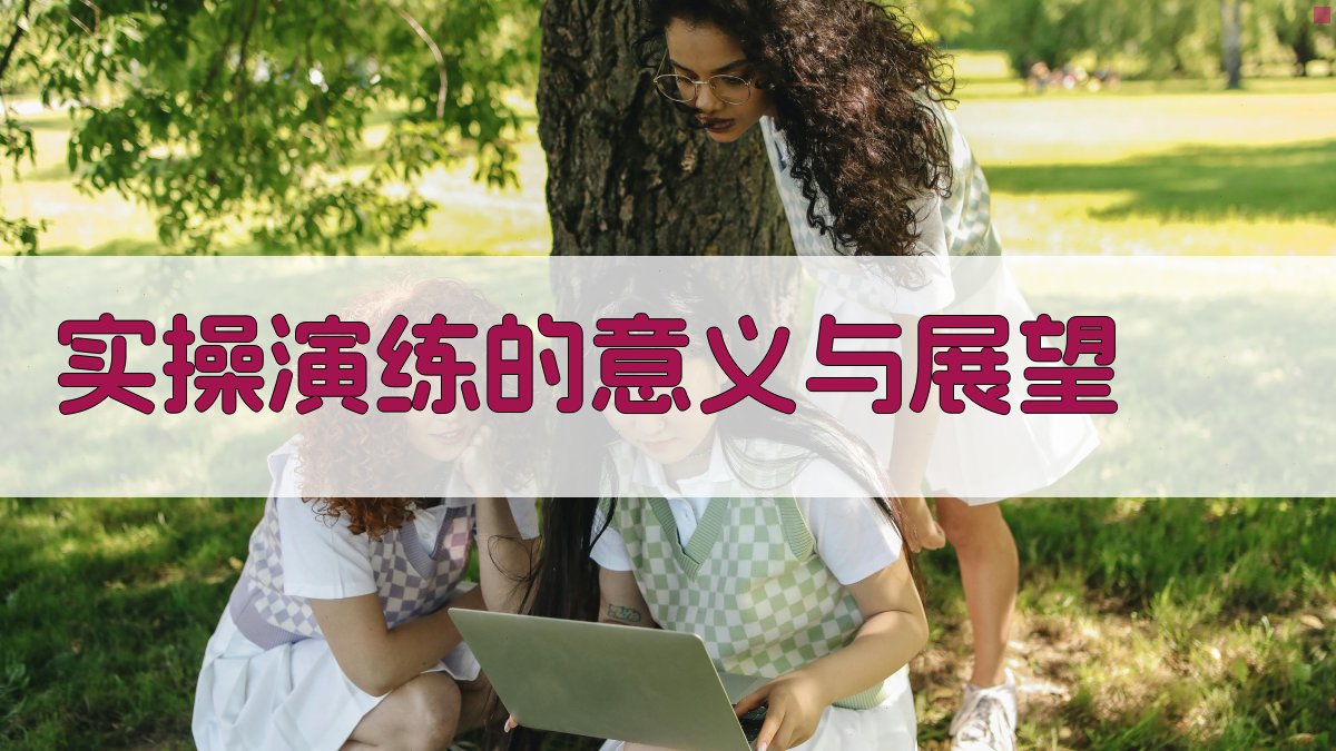 实操演练的意义与展望 图3