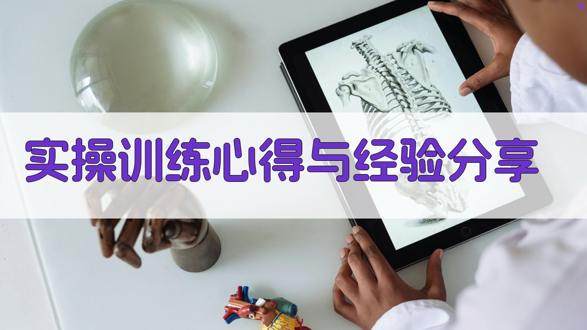 实操训练心得与经验分享 图4