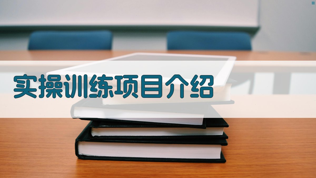 实操训练项目介绍 图3