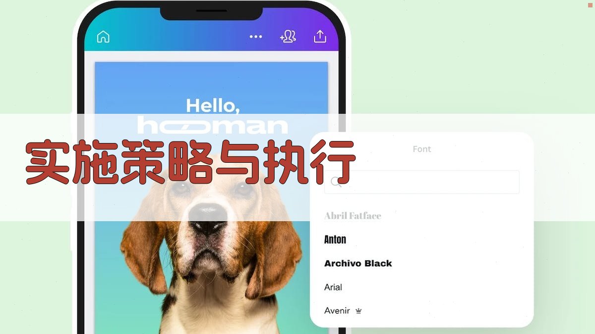 实施策略与执行 图3