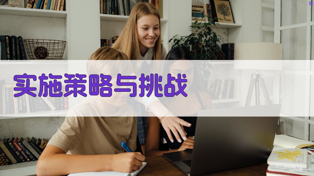 实施策略与挑战 图3