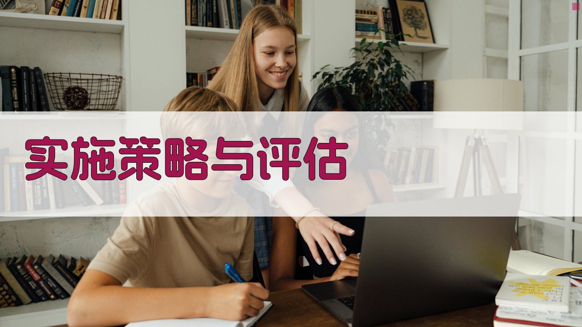 实施策略与评估 图3