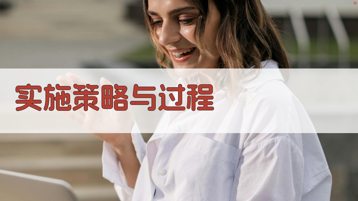 实施策略与过程 图2