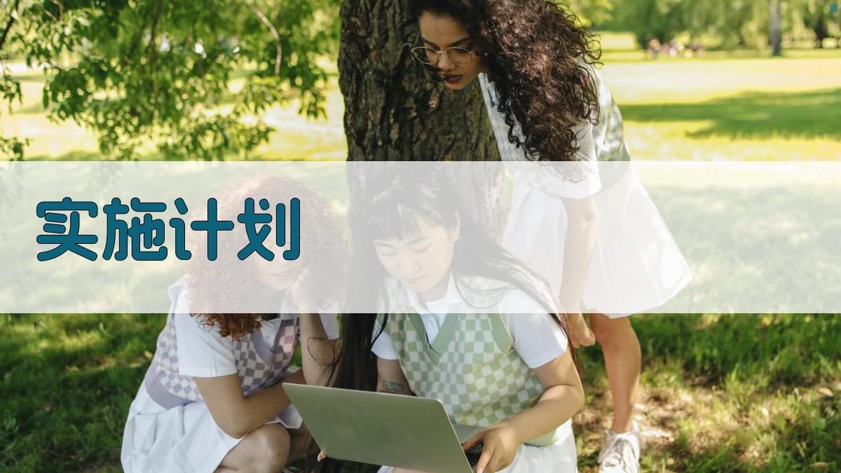 实施计划 图3