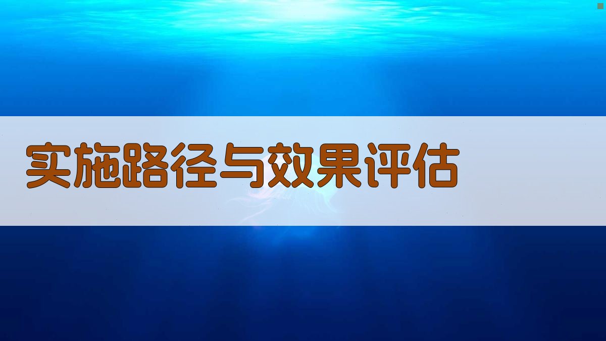 实施路径与效果评估 图3