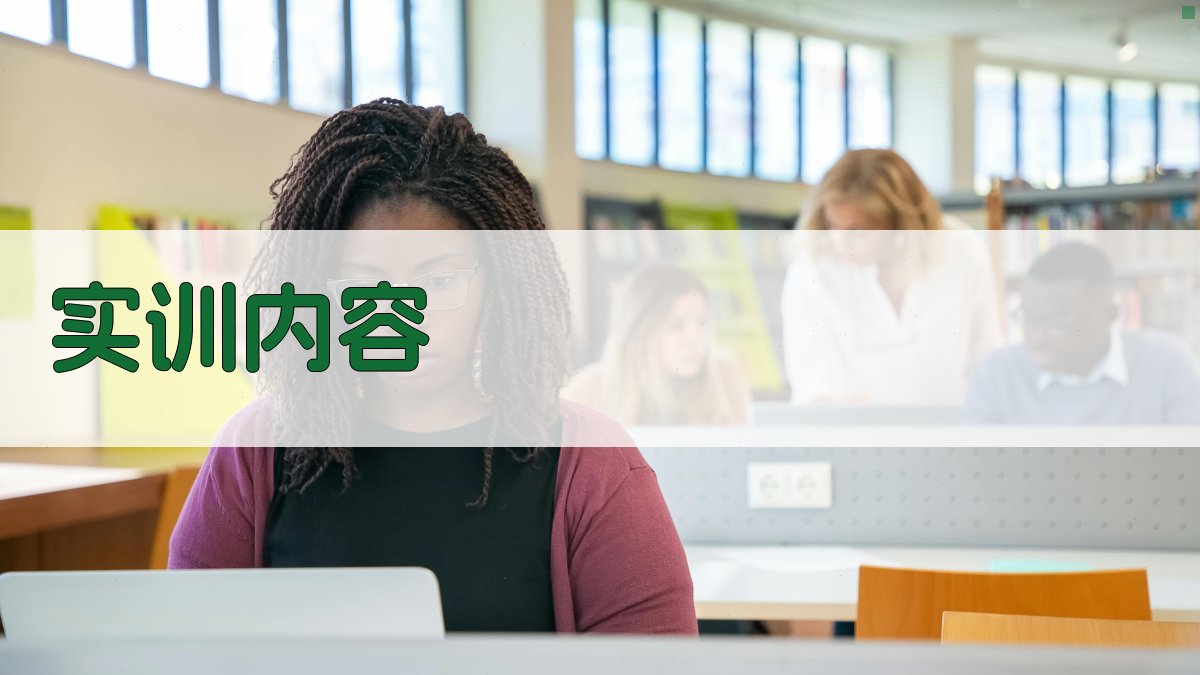 实训内容 图2