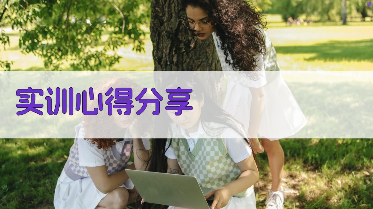 实训心得分享 图4