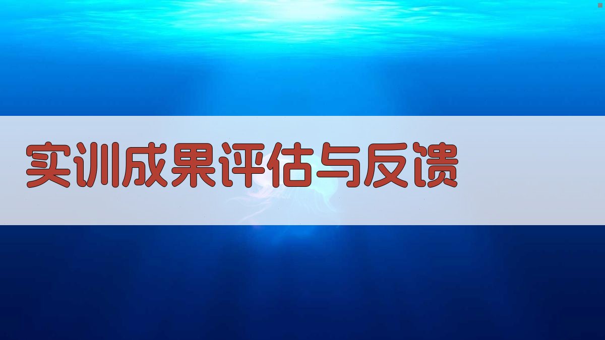 实训成果评估与反馈 图4