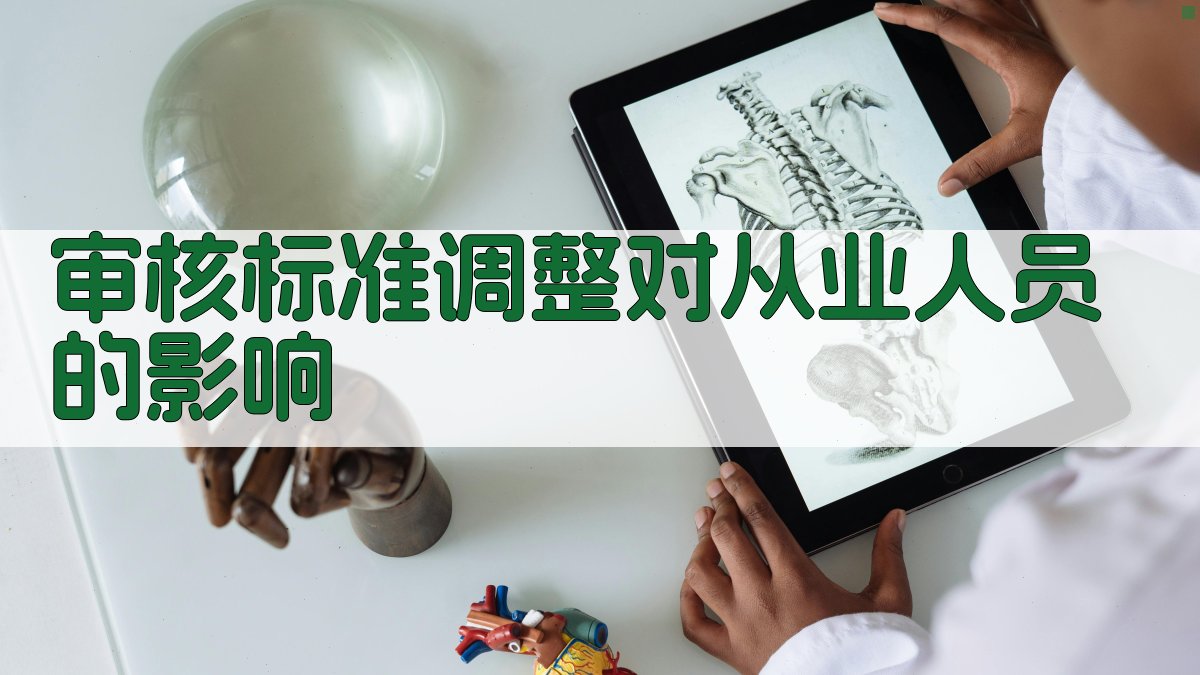 审核标准调整对从业人员的影响 图3