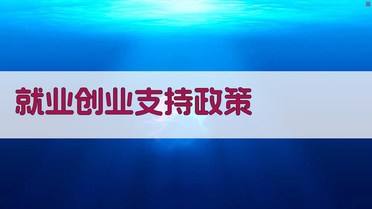 就业创业支持政策 图2