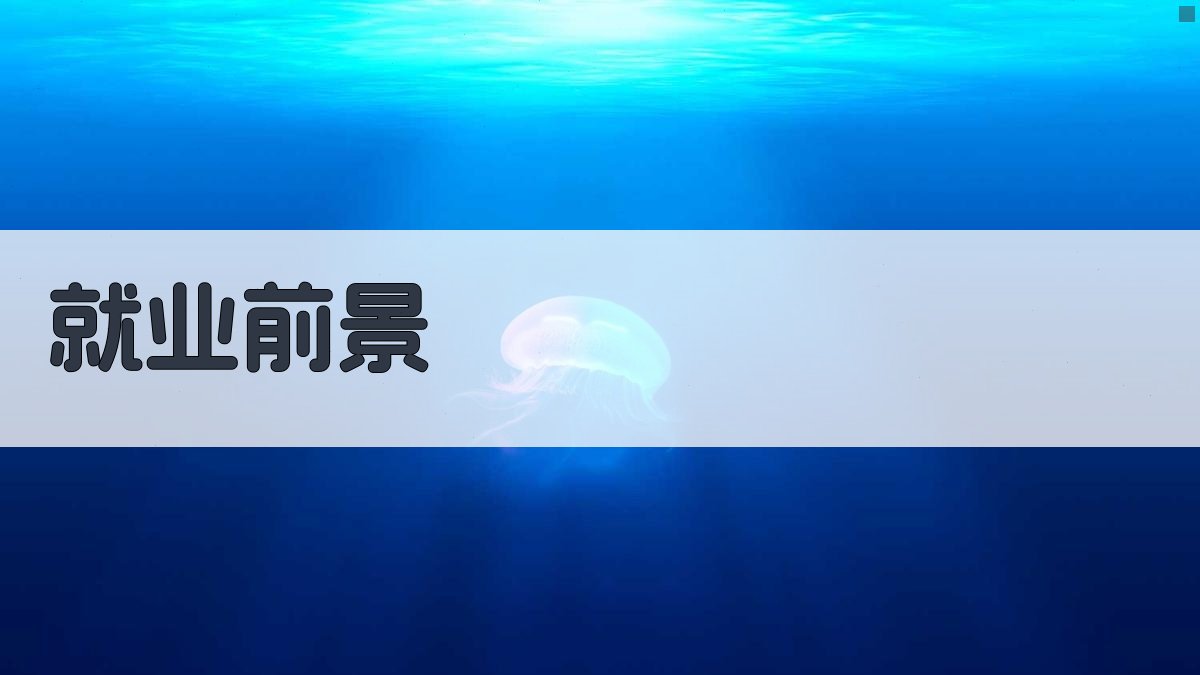 就业前景 图4