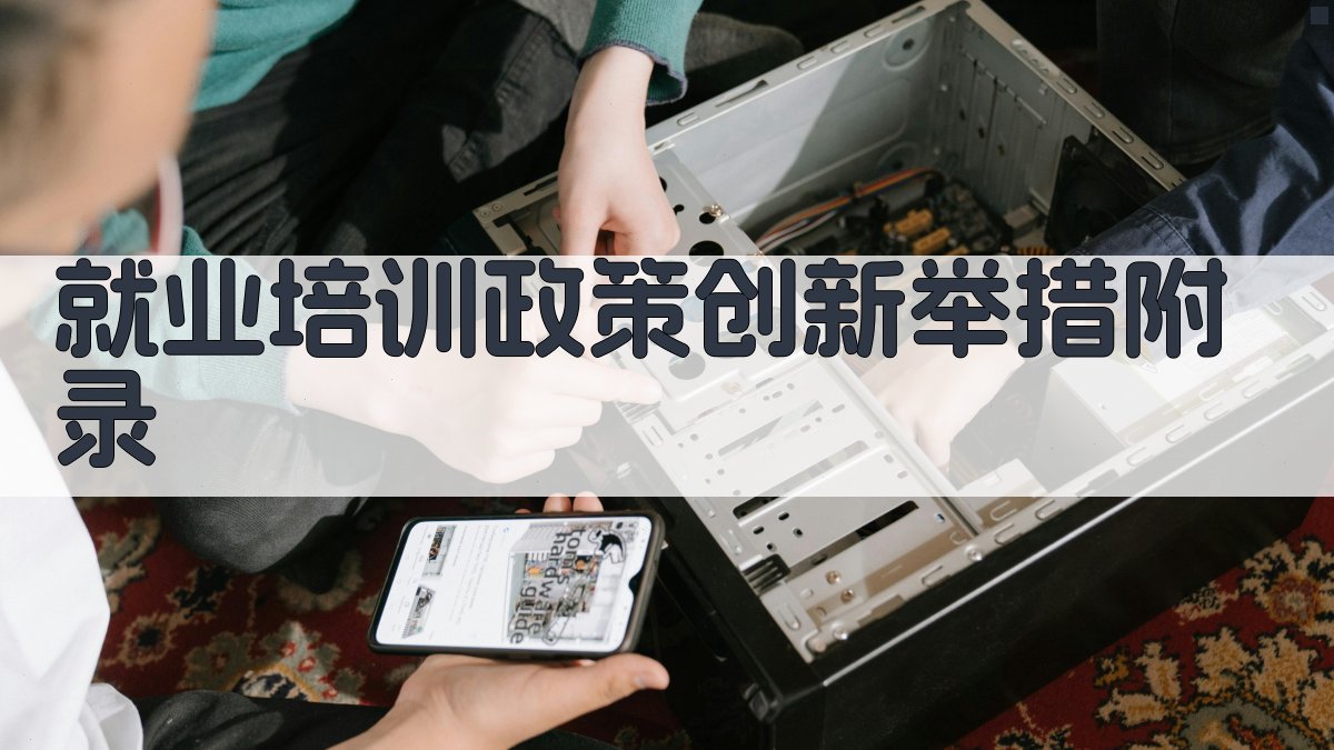 就业培训政策创新举措 · 附录 图2