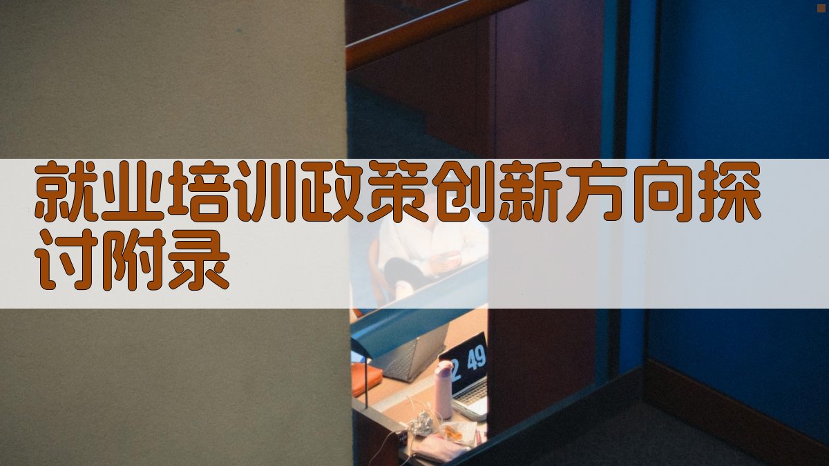 就业培训政策创新方向探讨 · 附录 图2