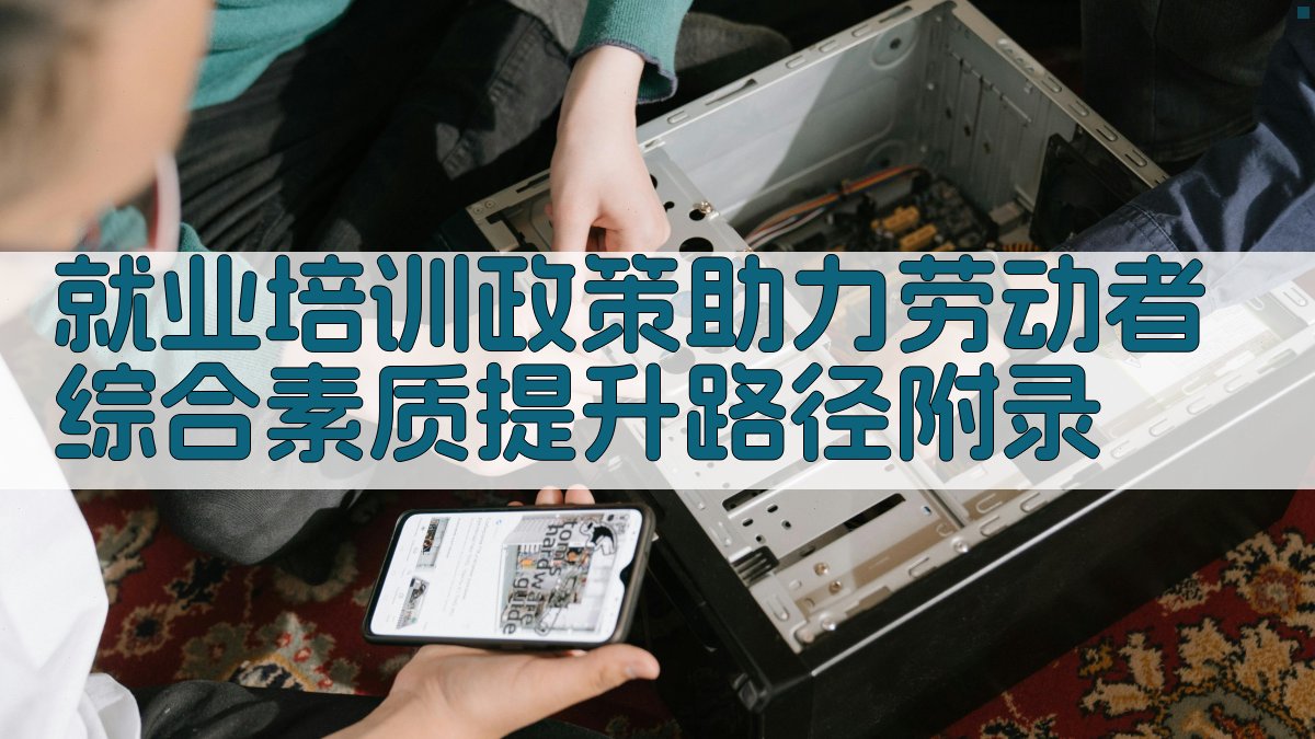 就业培训政策助力劳动者综合素质提升路径 · 附录 图5