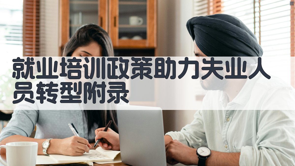 就业培训政策助力失业人员转型 · 附录 图5
