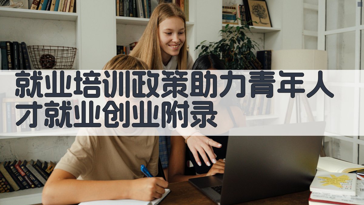 就业培训政策助力青年人才就业创业 · 附录 图5