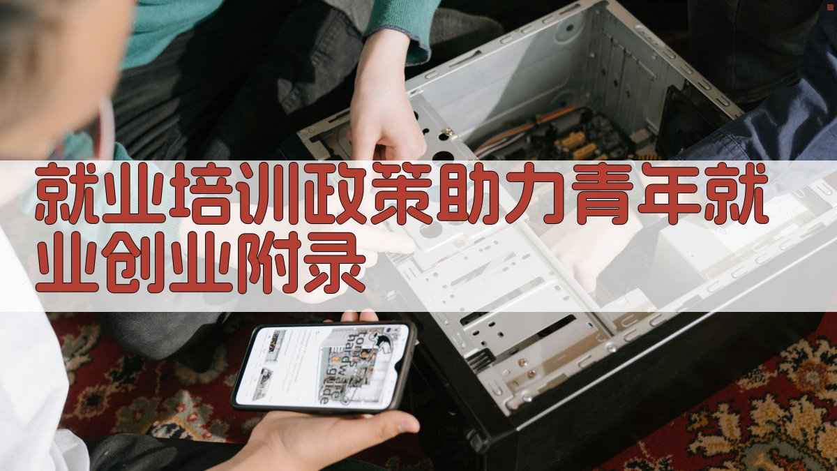 就业培训政策助力青年就业创业 · 附录 图3
