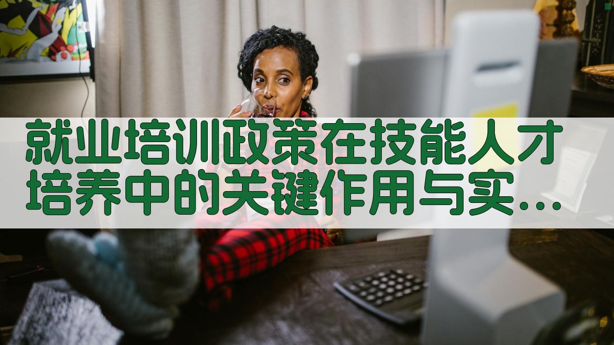 就业培训政策在技能人才培养中的关键作用与实施策略 · 附录 图4