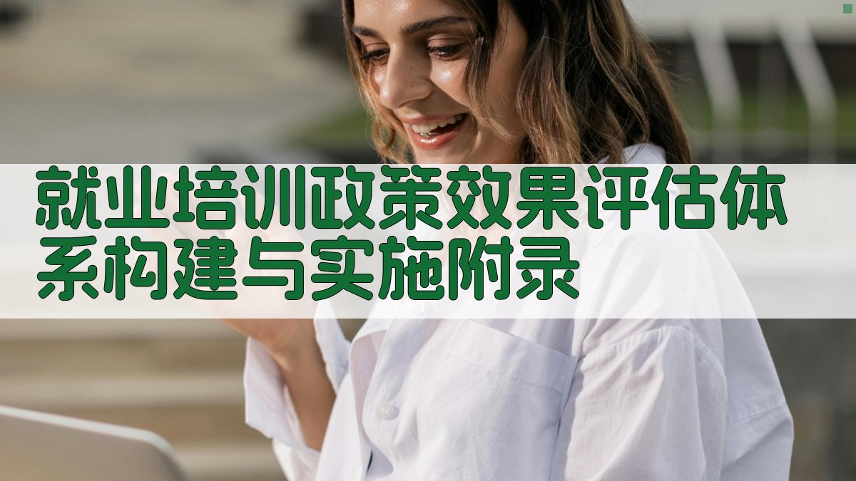 就业培训政策效果评估体系构建与实施 · 附录 图4