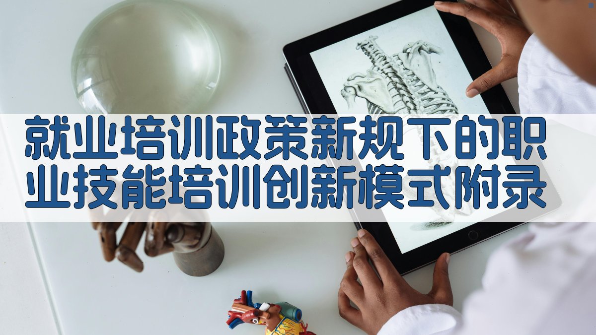 就业培训政策新规下的职业技能培训创新模式 · 附录 图5