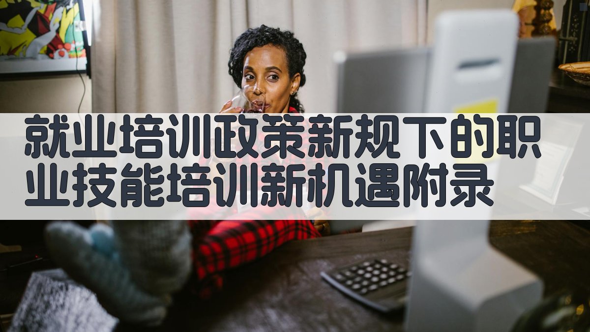 就业培训政策新规下的职业技能培训新机遇 · 附录 图5