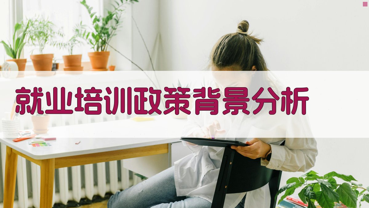 就业培训政策与职业培训机构合作模式创新