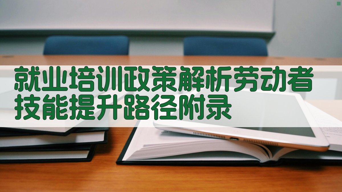 就业培训政策解析劳动者技能提升路径 · 附录 图2