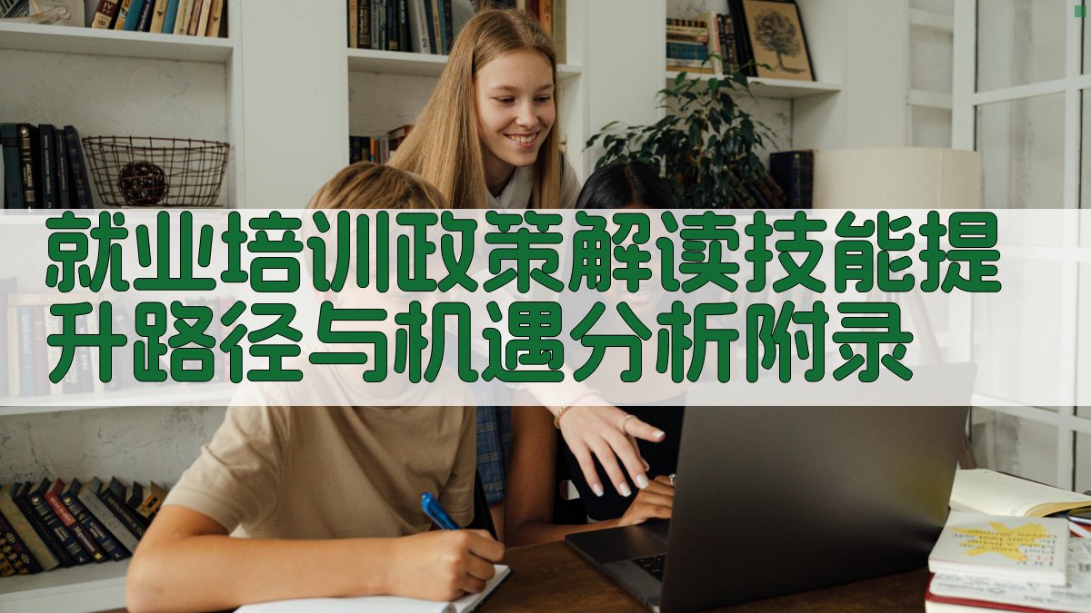 就业培训政策解读技能提升路径与机遇分析 · 附录 图2