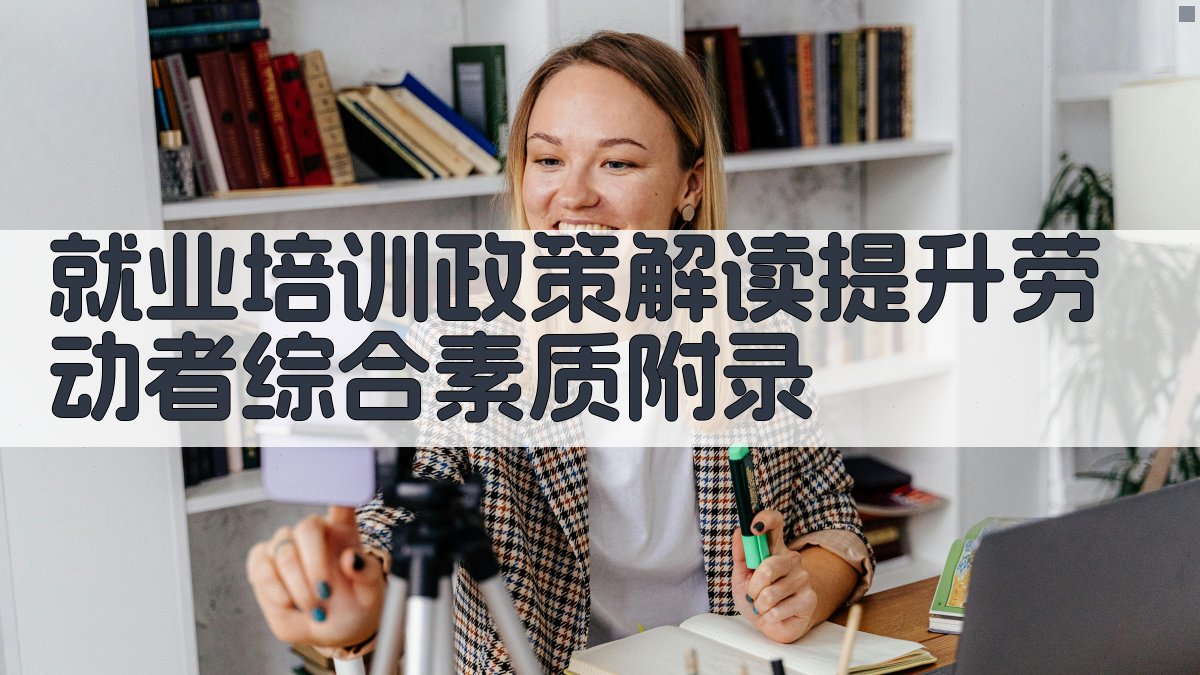 就业培训政策解读提升劳动者综合素质 · 附录 图4