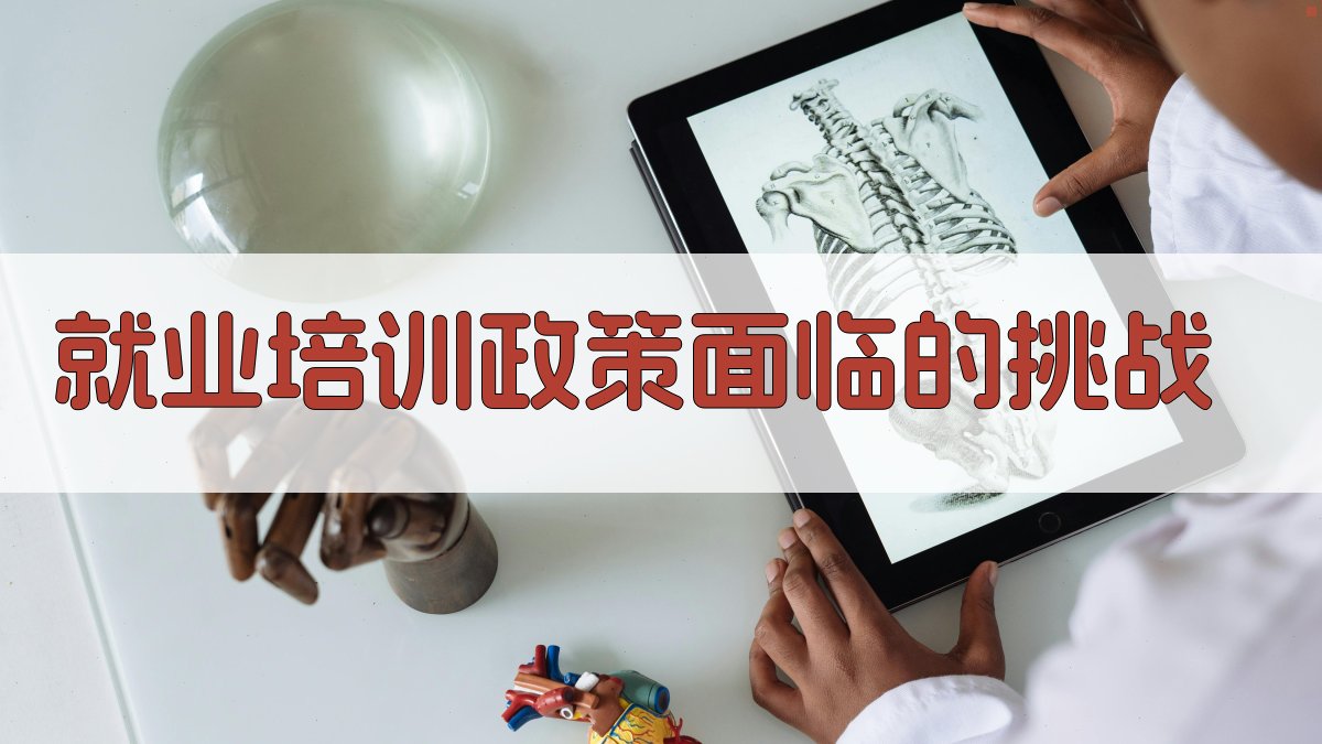 就业培训政策面临的挑战 图2