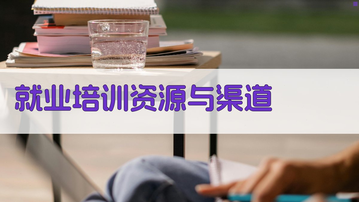 就业培训资源与渠道 图2