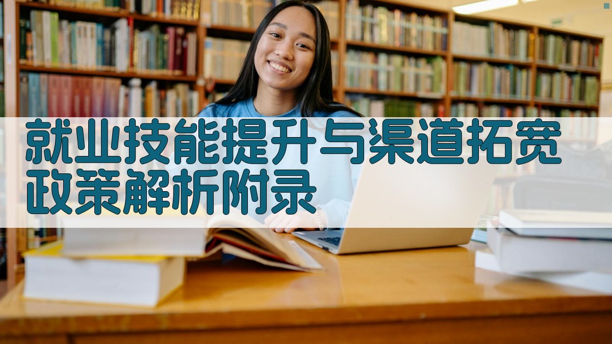 就业技能提升与渠道拓宽政策解析 · 附录 图4