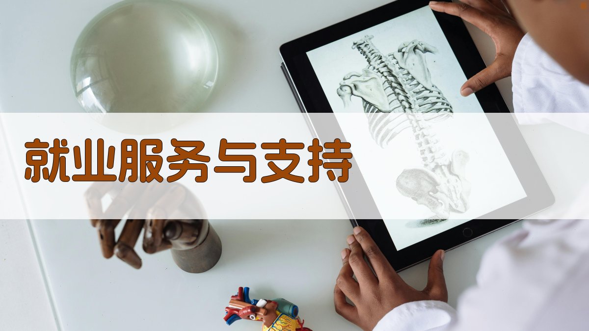 就业服务与支持 图2