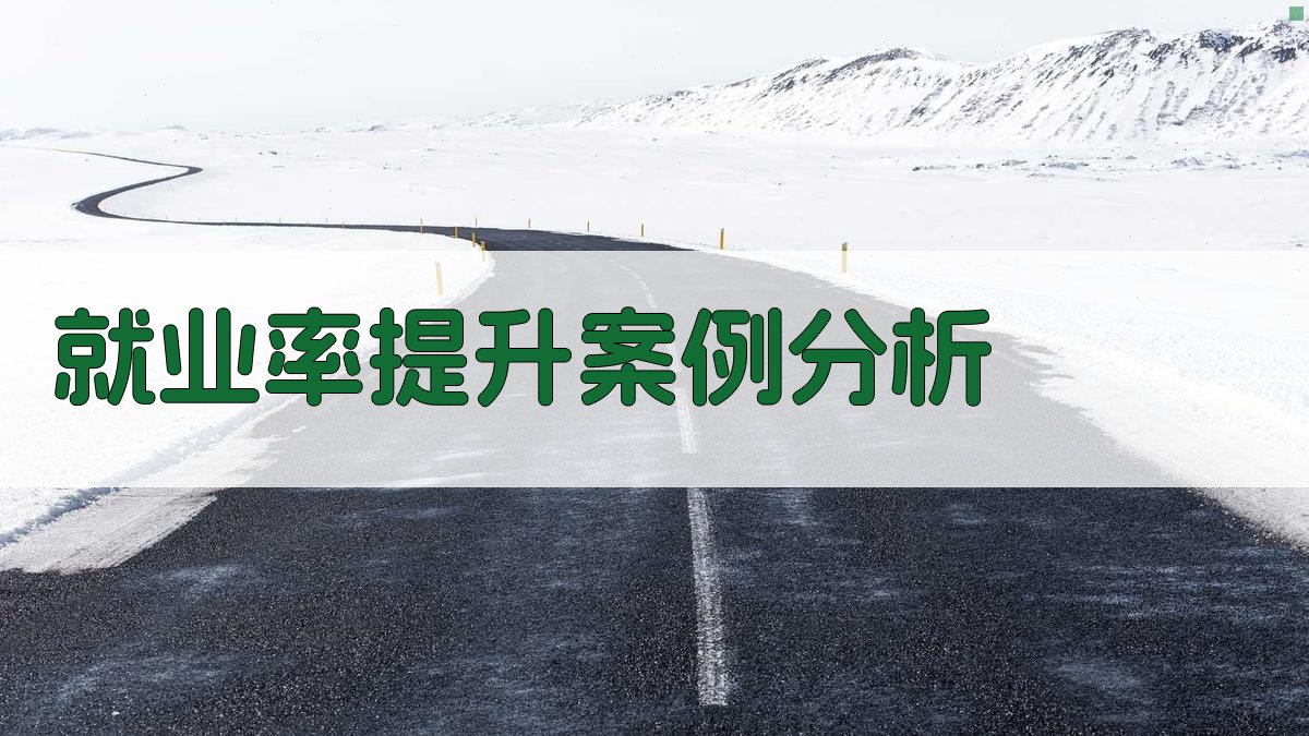 就业率提升案例分析 图2