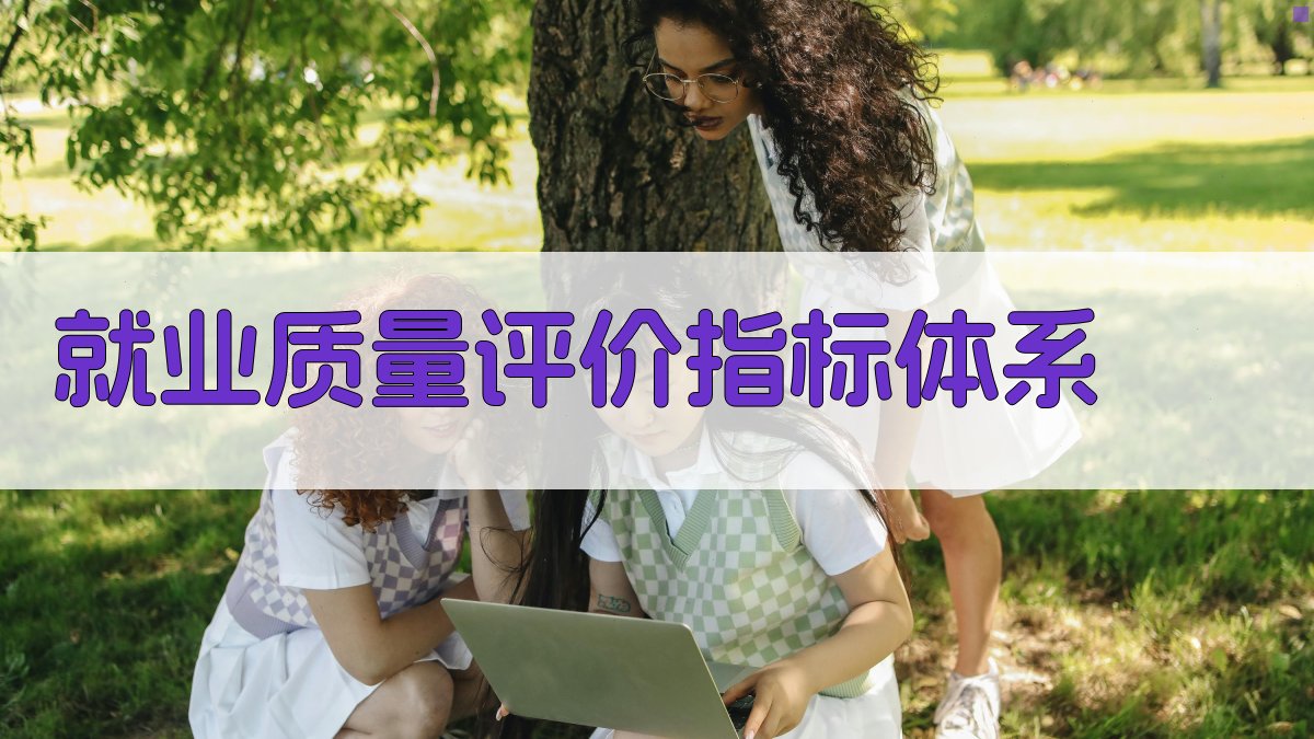 就业质量评价指标体系 图2
