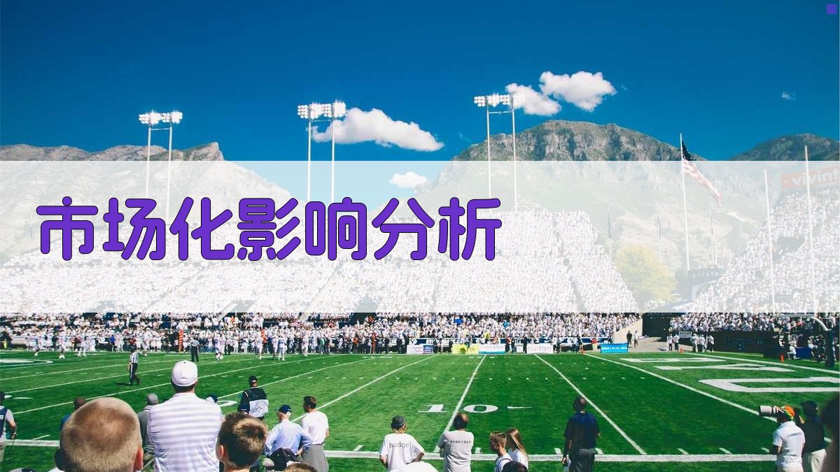 市场化影响分析 图2