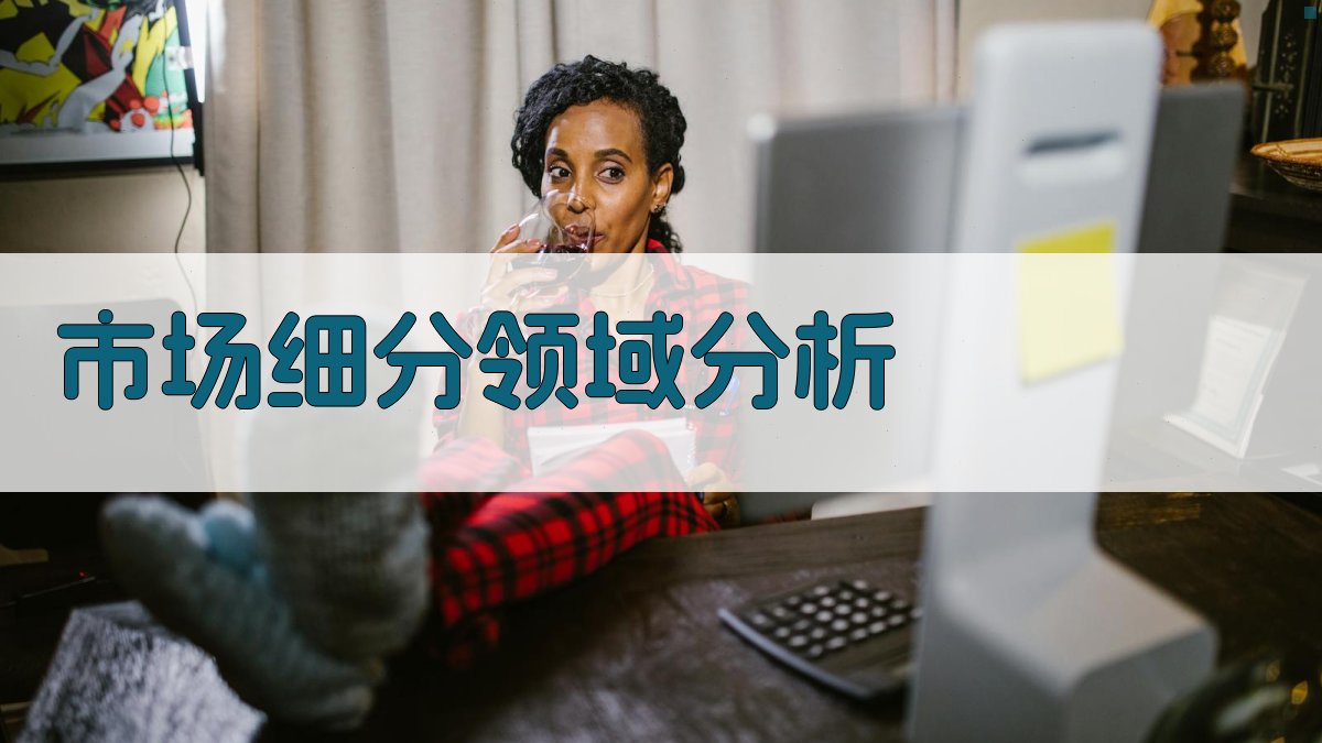 市场细分领域分析 图2