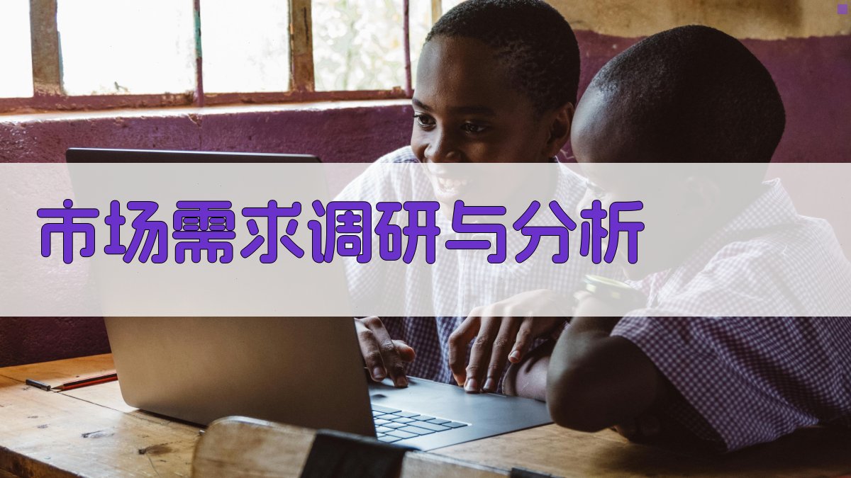 市场需求调研与分析 图2
