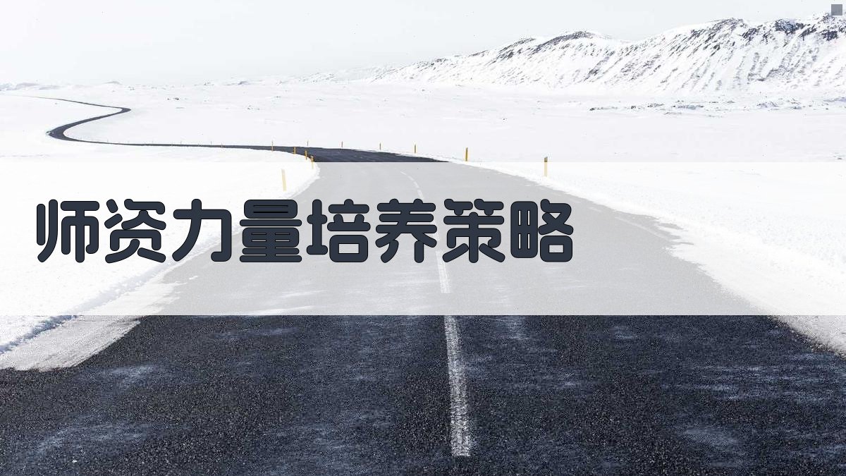 师资力量培养策略 图3