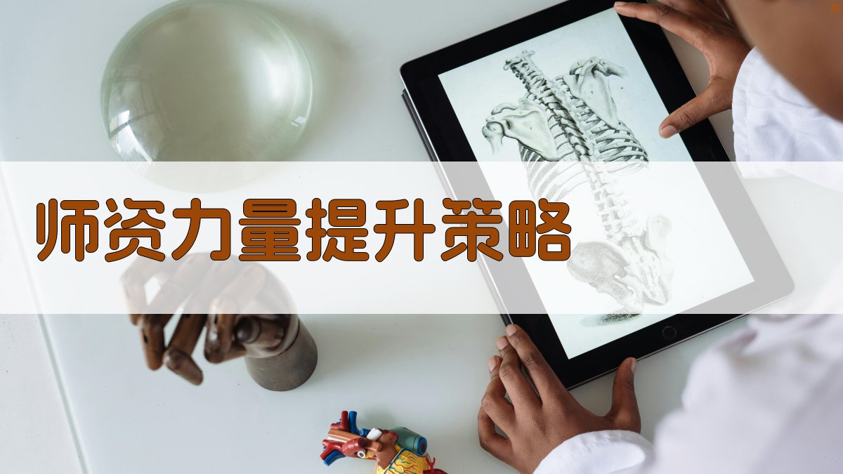 师资力量提升策略 图3