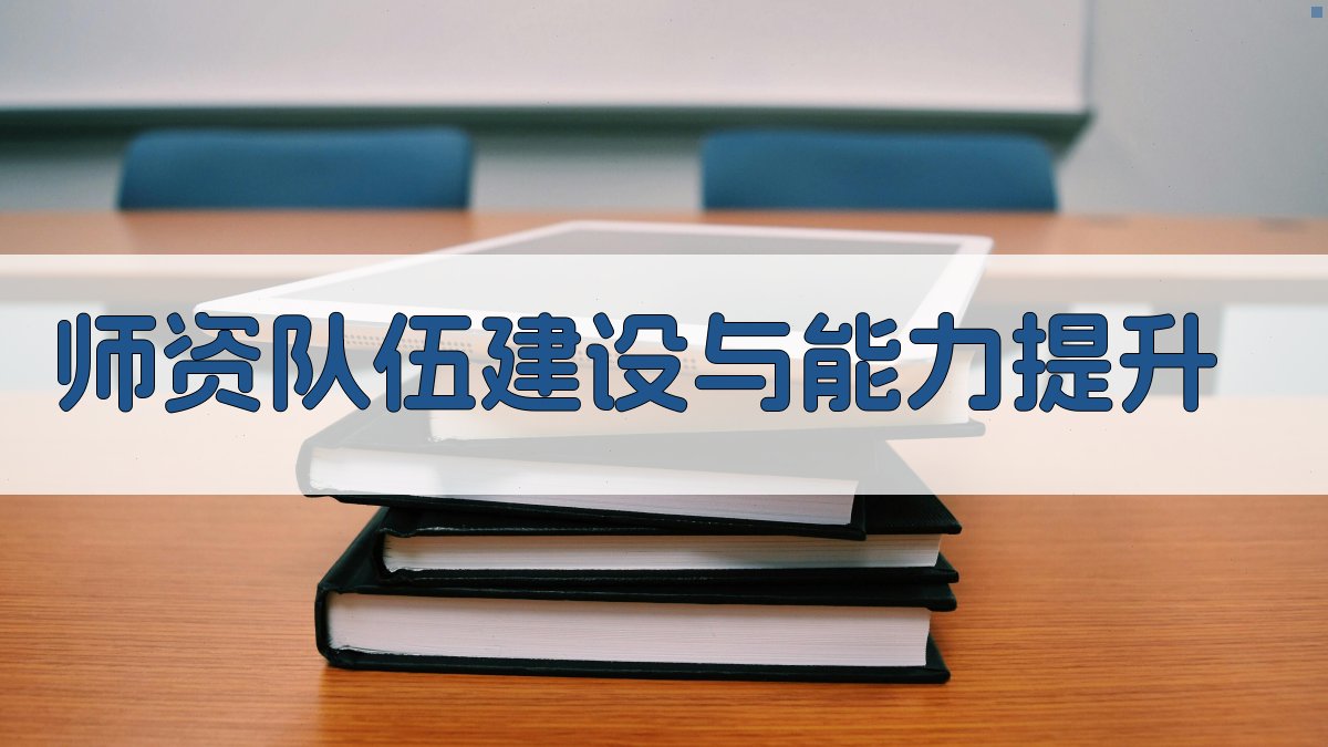 师资队伍建设与能力提升 图3