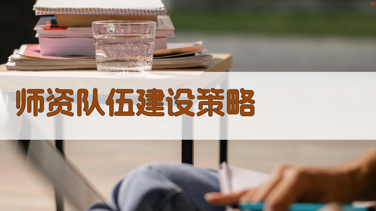 师资队伍建设策略 图2