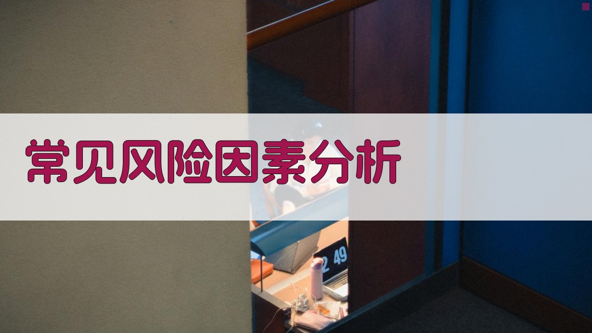 常见风险因素分析 图2