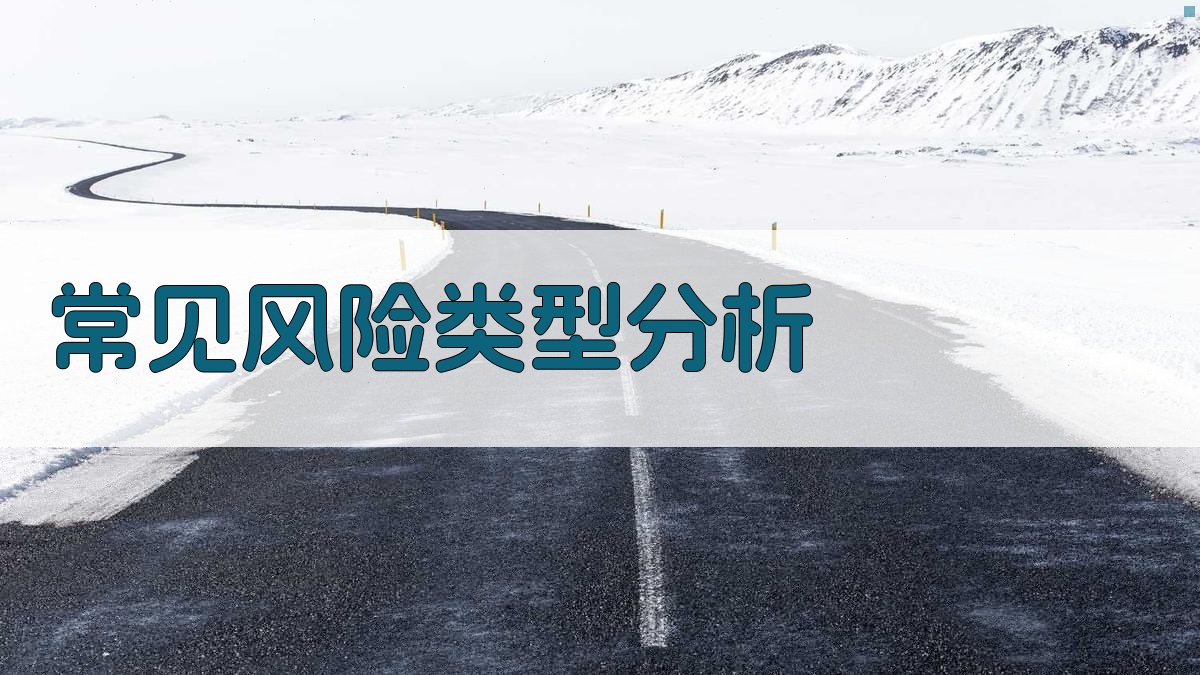 常见风险类型分析 图3