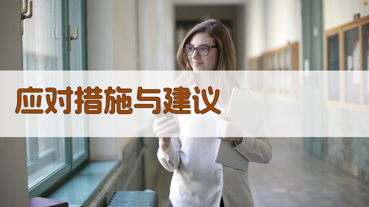 应对措施与建议 图2